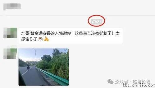 远安最新爆料事件视频,视频揭露惊人真相，事件背后有何隐情？